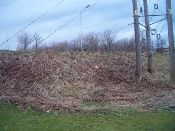 National Spring Clean