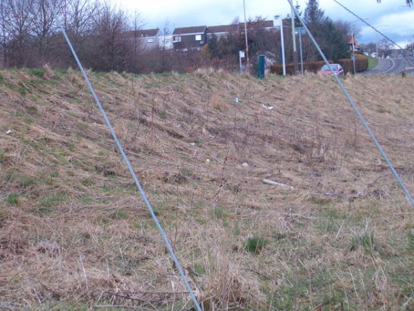 National Spring Clean