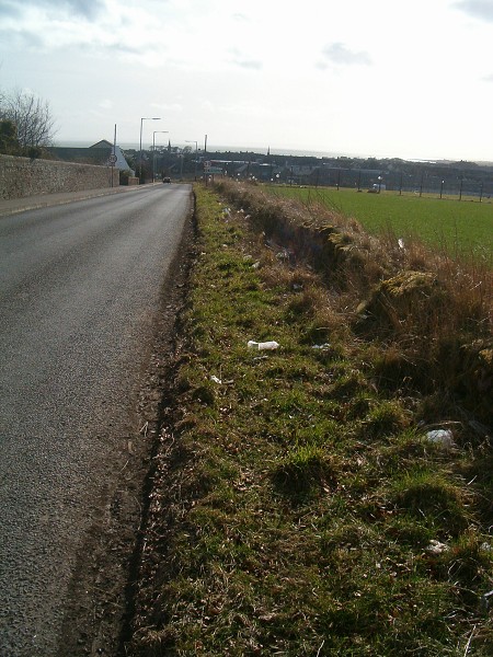 Country side
