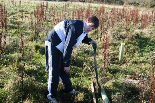 Plant Trees for the Peace 2009 